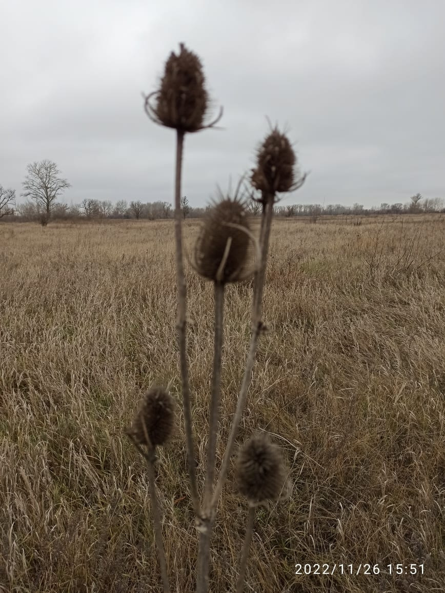 Фото в бортжурнале УАЗ Patriot