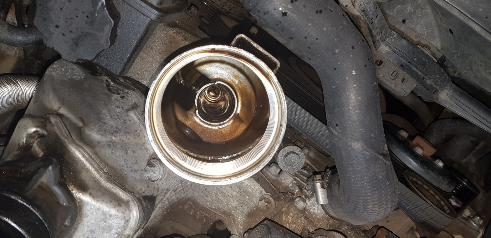 Teana 33 кузов. Замена сайлентблоков подрамника, задних. — DRIVE2