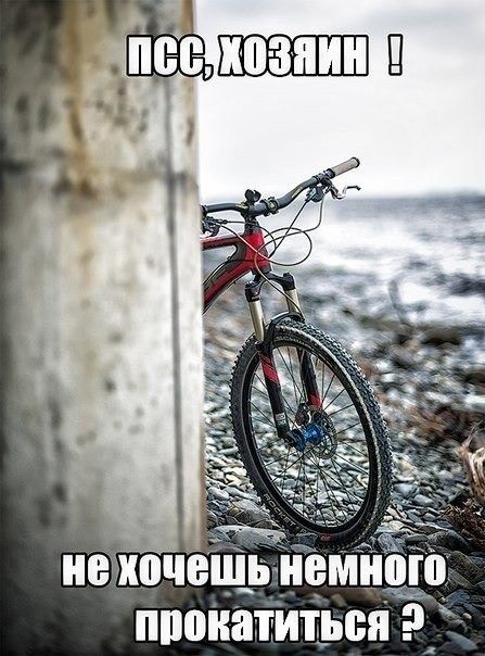 Велосипед и здоровье