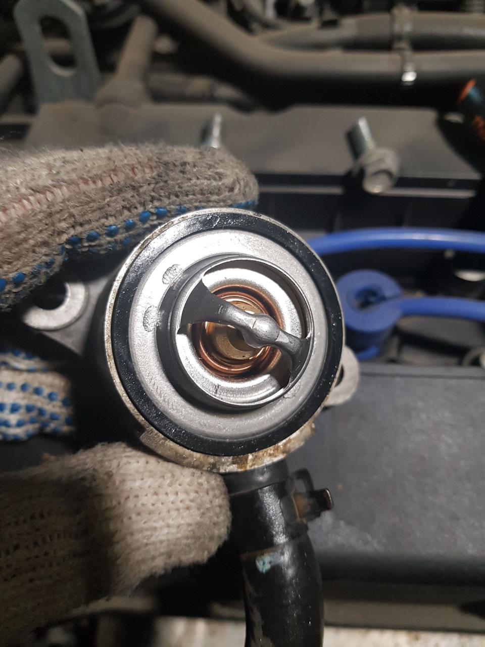 горячий термостат