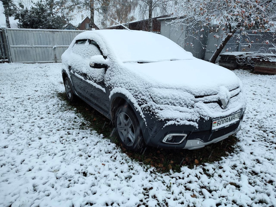 Фото в бортжурнале Renault Logan Stepway