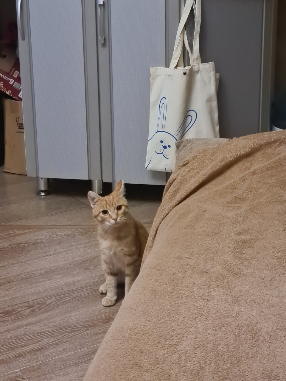 ?? ???РАЗРЯДИТЬ ОБСТАНОВКУ???? — Honda Accord (10G), 1,5 л, 2018 года ...