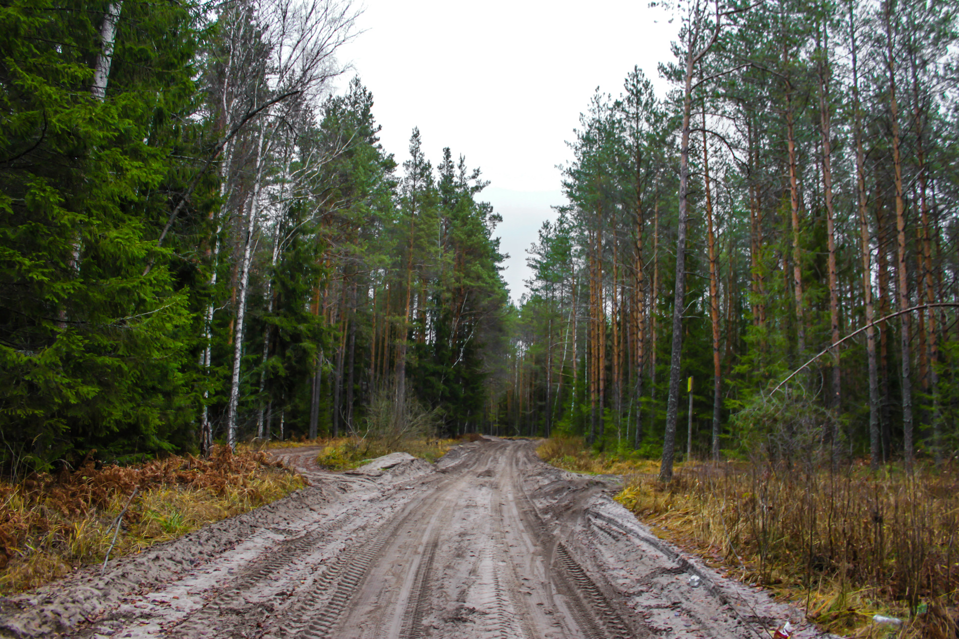 Покинутая Деревня Дербыши Спустя Пять Лет — «Путешествия» на DRIVE2