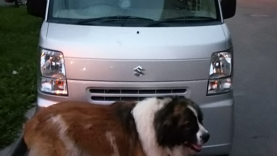 Что-то гудит на скорости от 40 до 60 км.ч . Ступичный подшипник ...