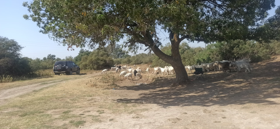 Фото в бортжурнале Mitsubishi Pajero (4G)