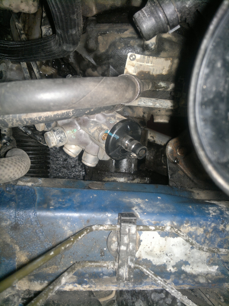 Фото в бортжурнале BMW X5 (E53)