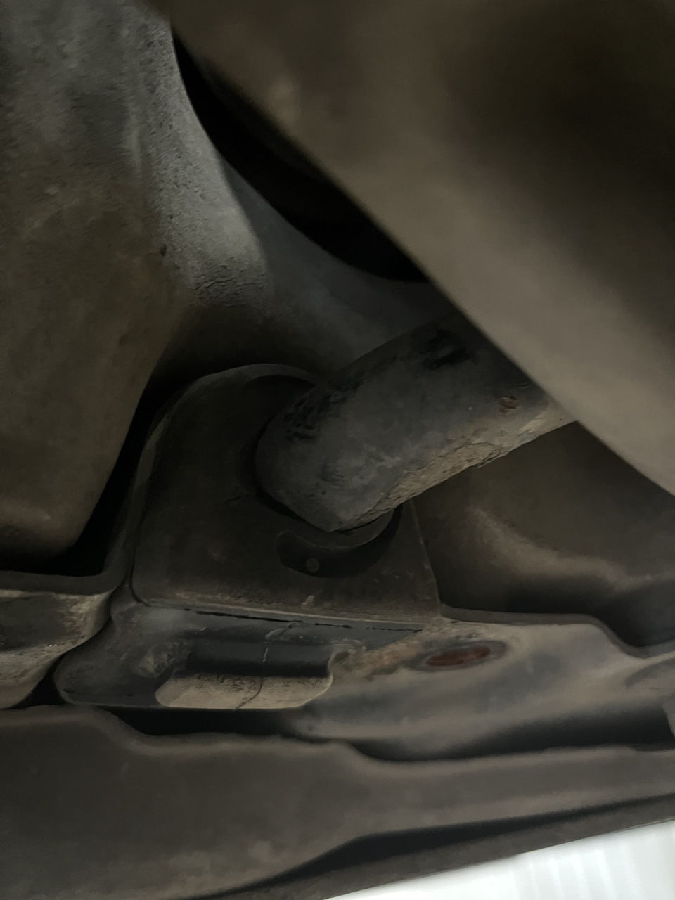 А вот и я картинки. В общаге пропала кошка вот такие пироги. Забавные иллюстрации. Стикеры с нарисованным человечком. У тебя мозги есть мем.