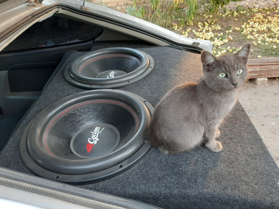 Фото в бортжурнале Lada Приора Купе