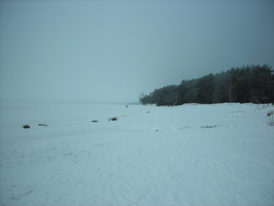 Фото в бортжурнале Renault Sandero 2G