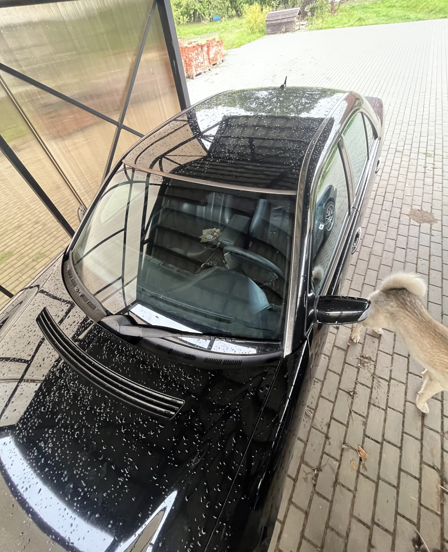Молдинги крыши) — Mercedes-Benz E 55 AMG (W210), 2,8 л, 2001 года ...