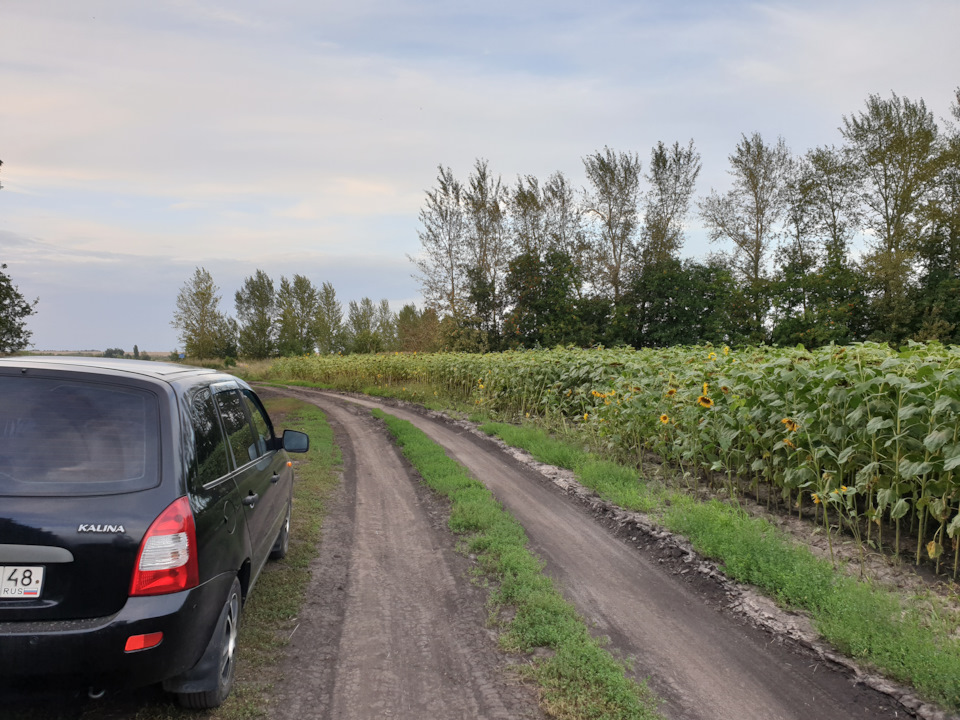 Ремень безопасности и зеркала — Lada Калина Универсал (1G), 1,4 л, 2011 ...