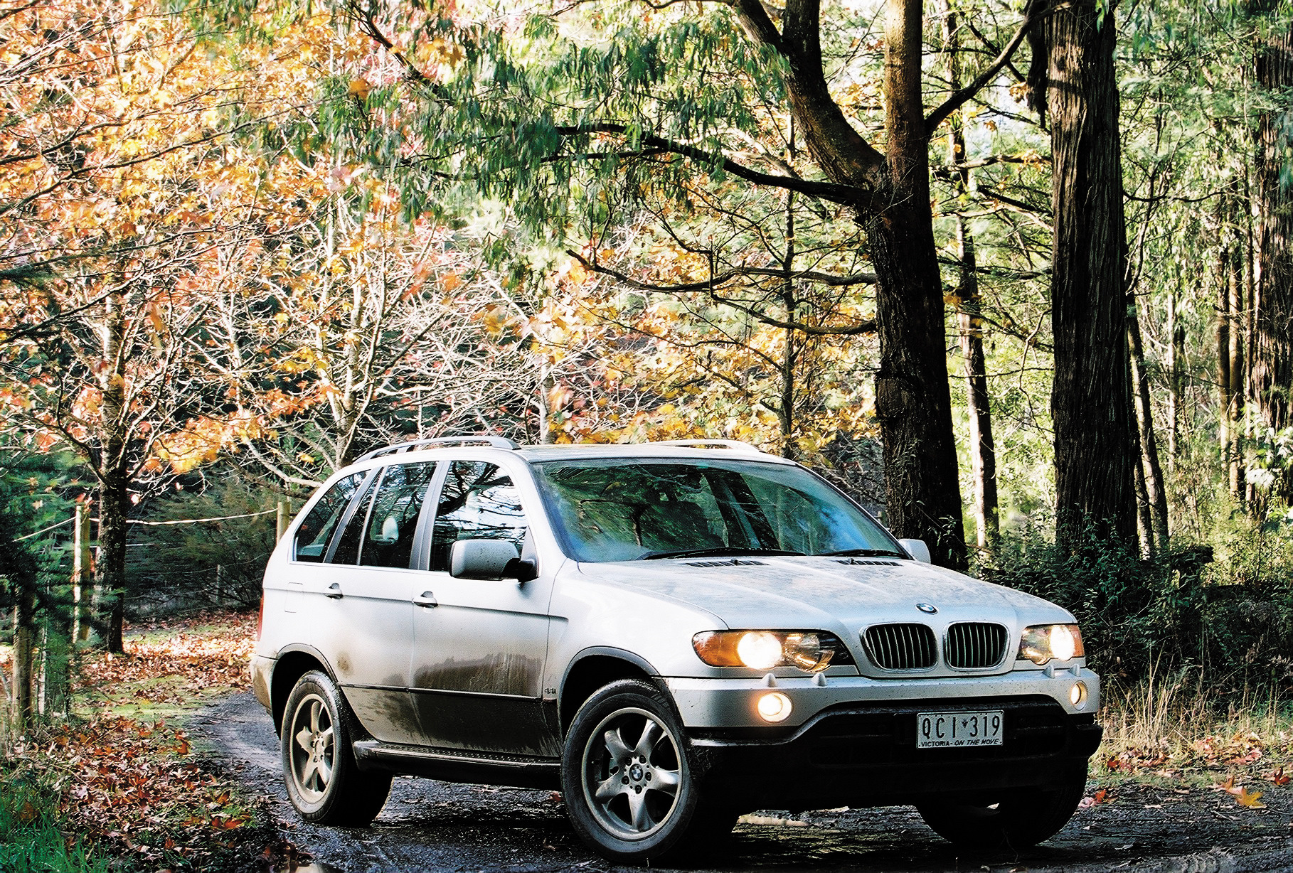 Bmw x5 2003. BMW x5 e53 1999. BMW x5 e53 2000. БМВ х5 1999-2003. BMW x5 e53 зеленый.