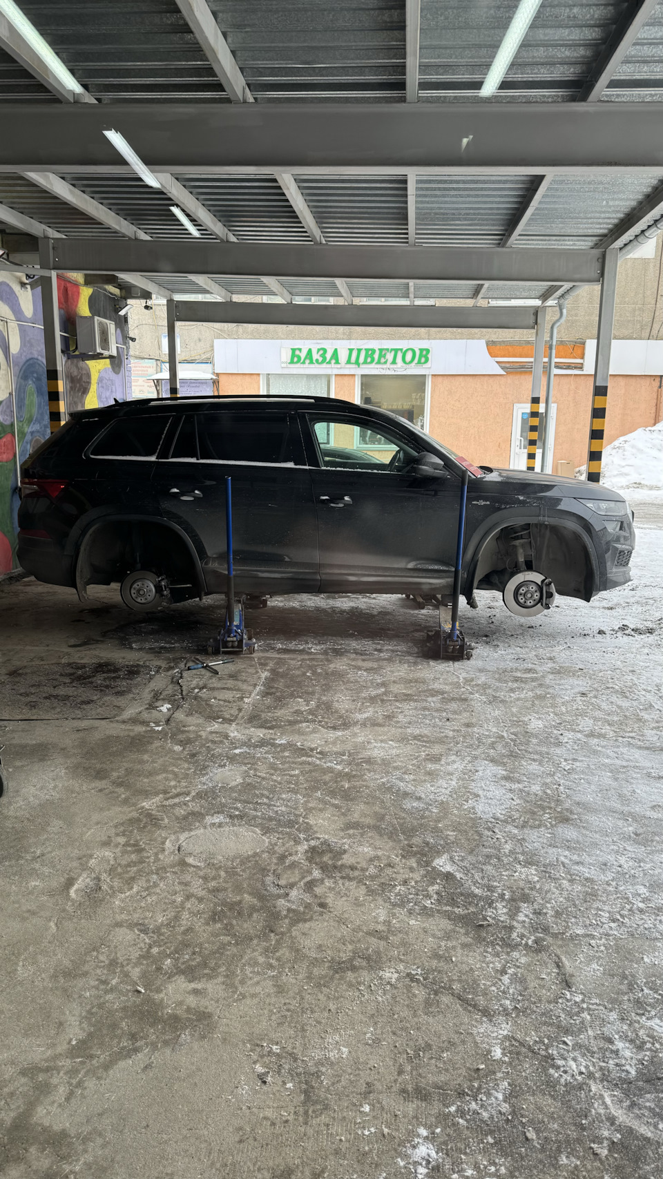 Висю — Skoda Kodiaq (1G)