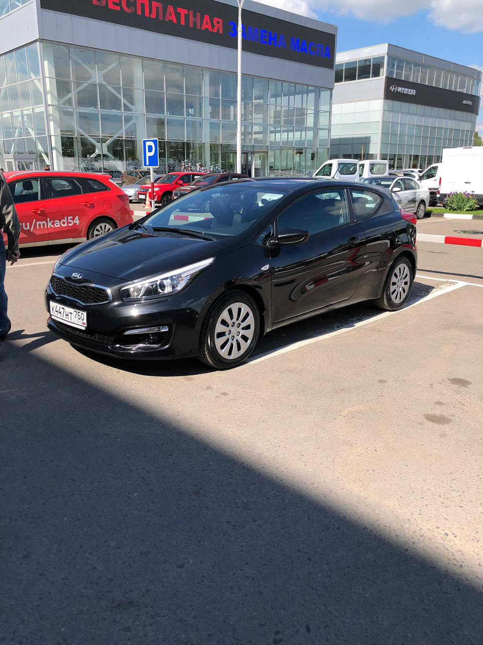 Любовь с первого взгляда или покупка Авто за один день — KIA Pro_Ceed (2G),  1,6 л, 2015 года | покупка машины | DRIVE2