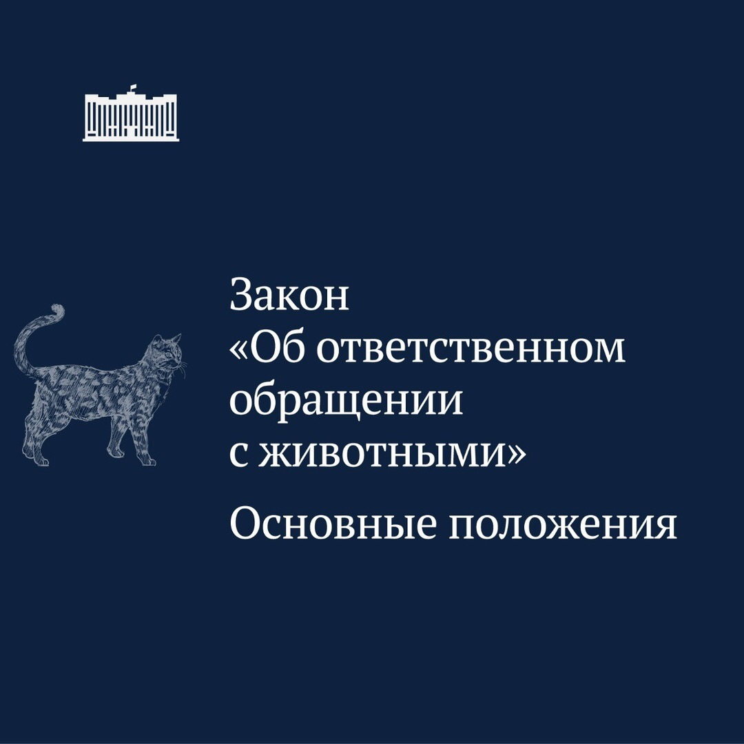 Фз об ответственности обращения с животными. Изменения no 498. Фз закон о животных. Изменения no 498. Изменения no 498.