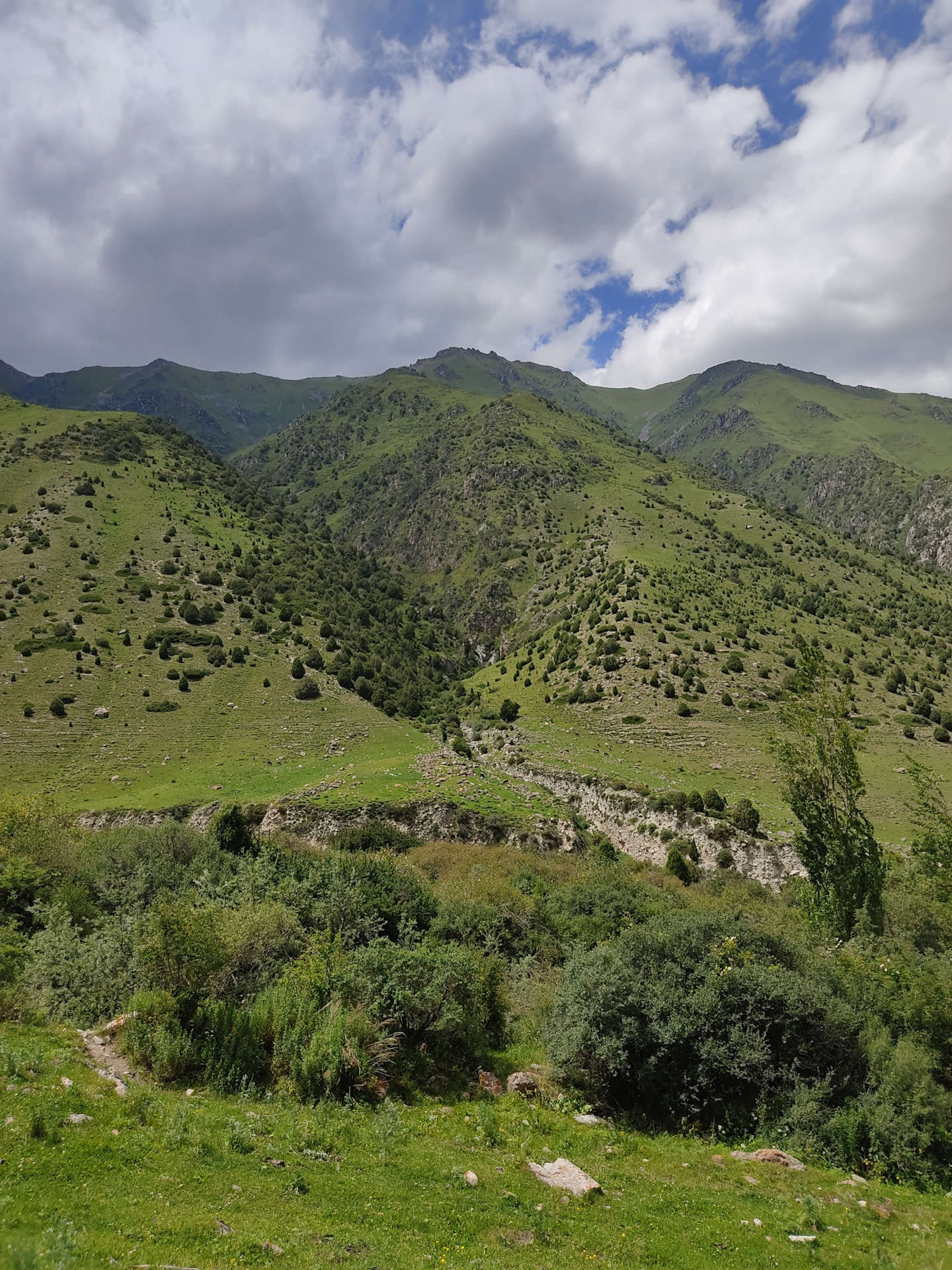 Ала Арча Бишкек заповедник