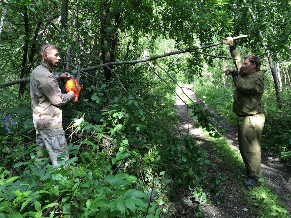 Злые валы болт-он на 1яя+гбц, мозги. — Toyota Celica (230), 1,8 л, 2003 ...