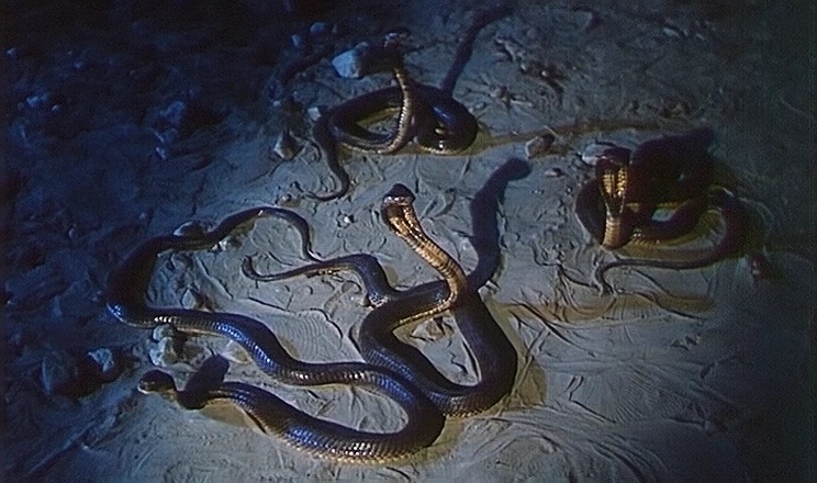 Проклятие долины змея. Заклятие Долины змей 1987.
