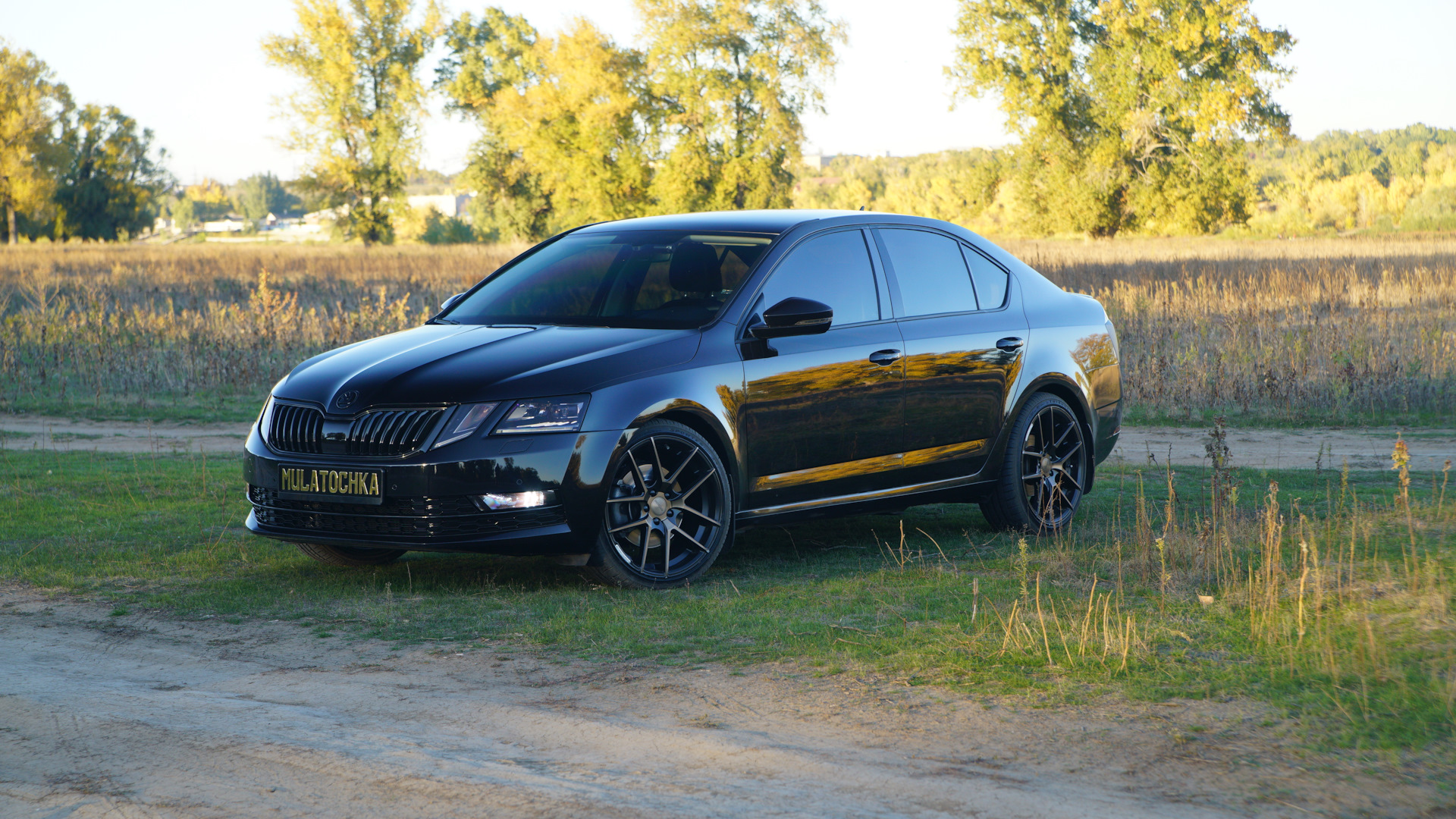 Продажа Skoda Octavia A7 Mk3 2017 (бензин, робот) — с историей обслуживания  — DRIVE2.RU