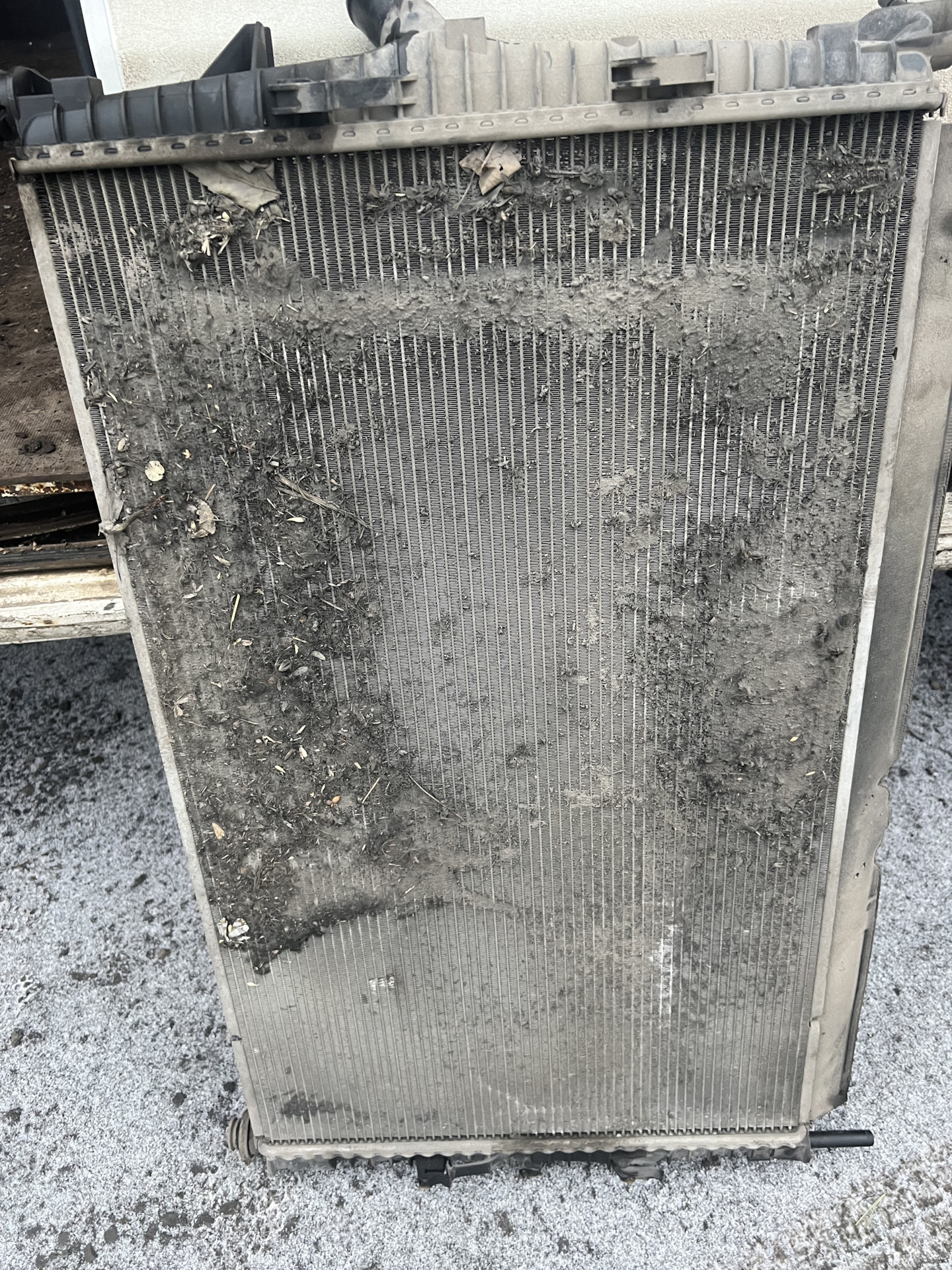 Радиатор Форд транзит — Ford Transit (8G), 2,4 л, 2020 года | визит на ...