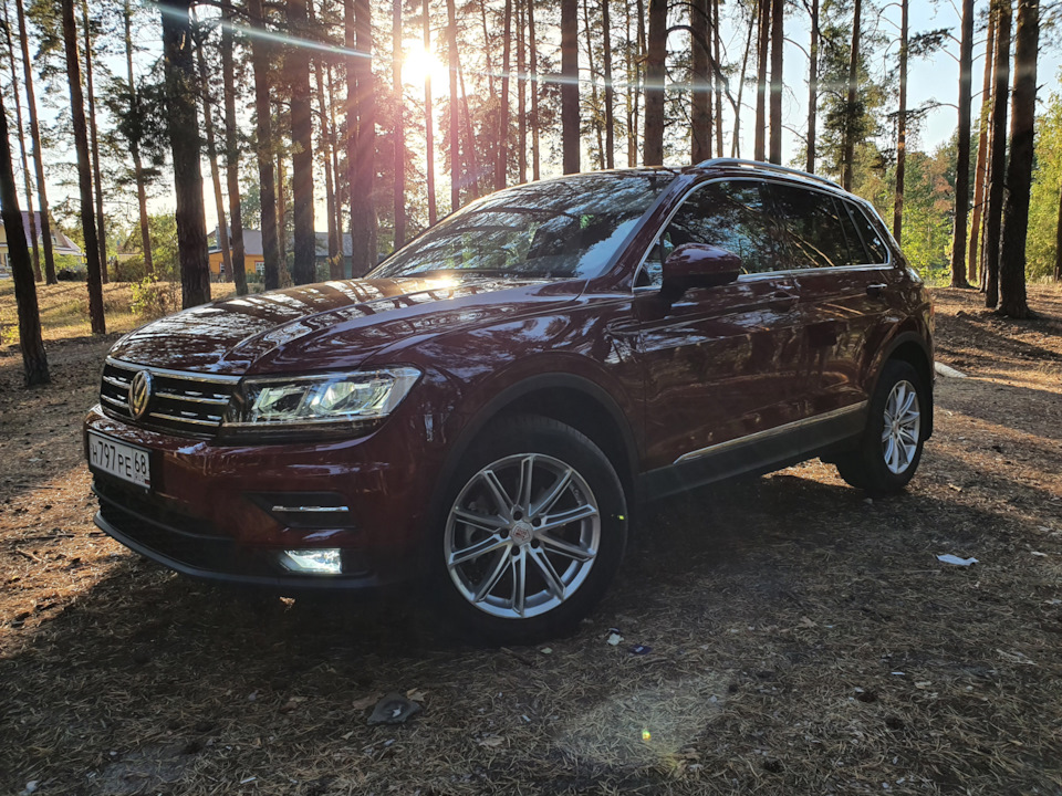 Ну и ребёнок спалился тем, что День знаний провёл не в универе, а где-то на природе! — Volkswagen Tiguan (2G)