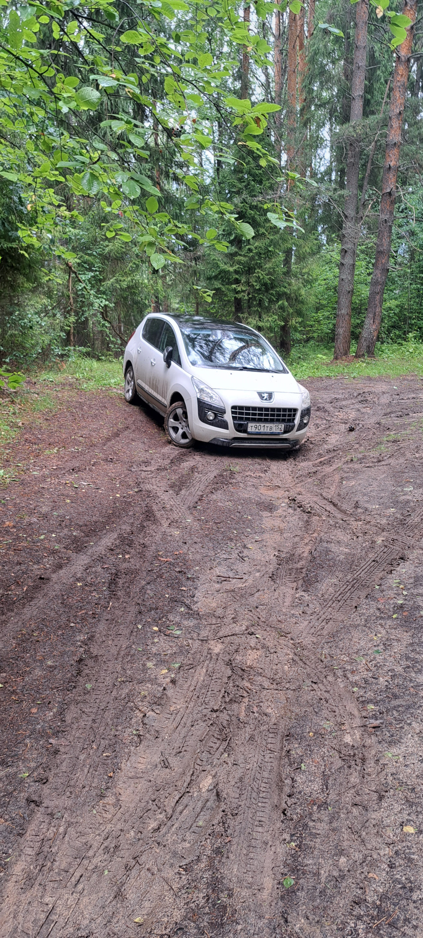 Замена основного радиатора охлаждения на Luzar — Peugeot 3008 (1G), 1,6 ...