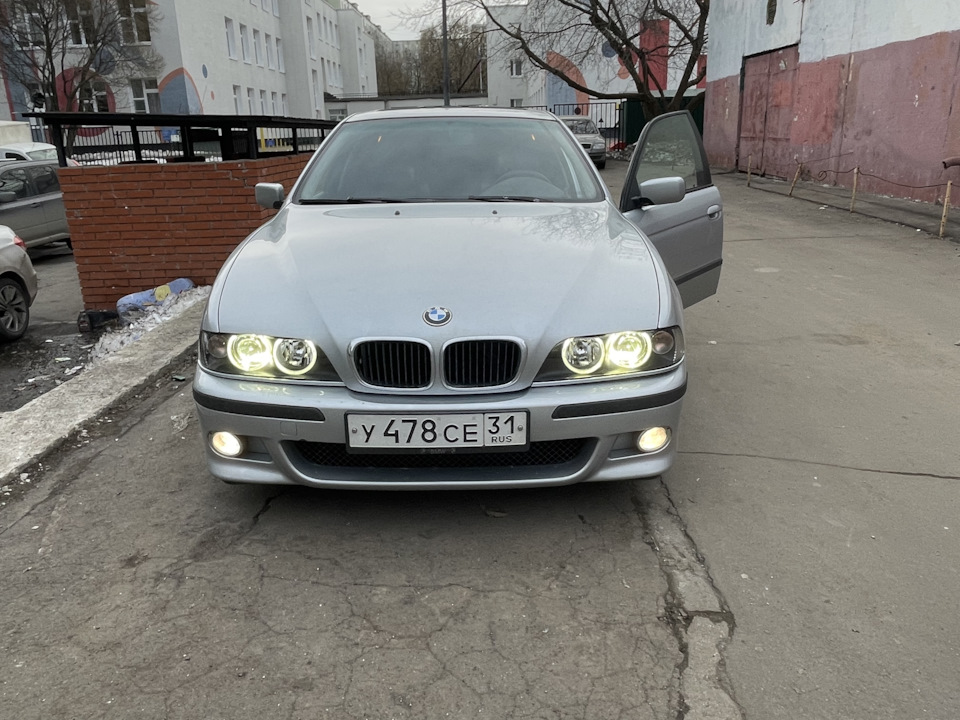 Лазерные модули в фары — BMW 5 series (E39), 2,8 л, 1996 года ...