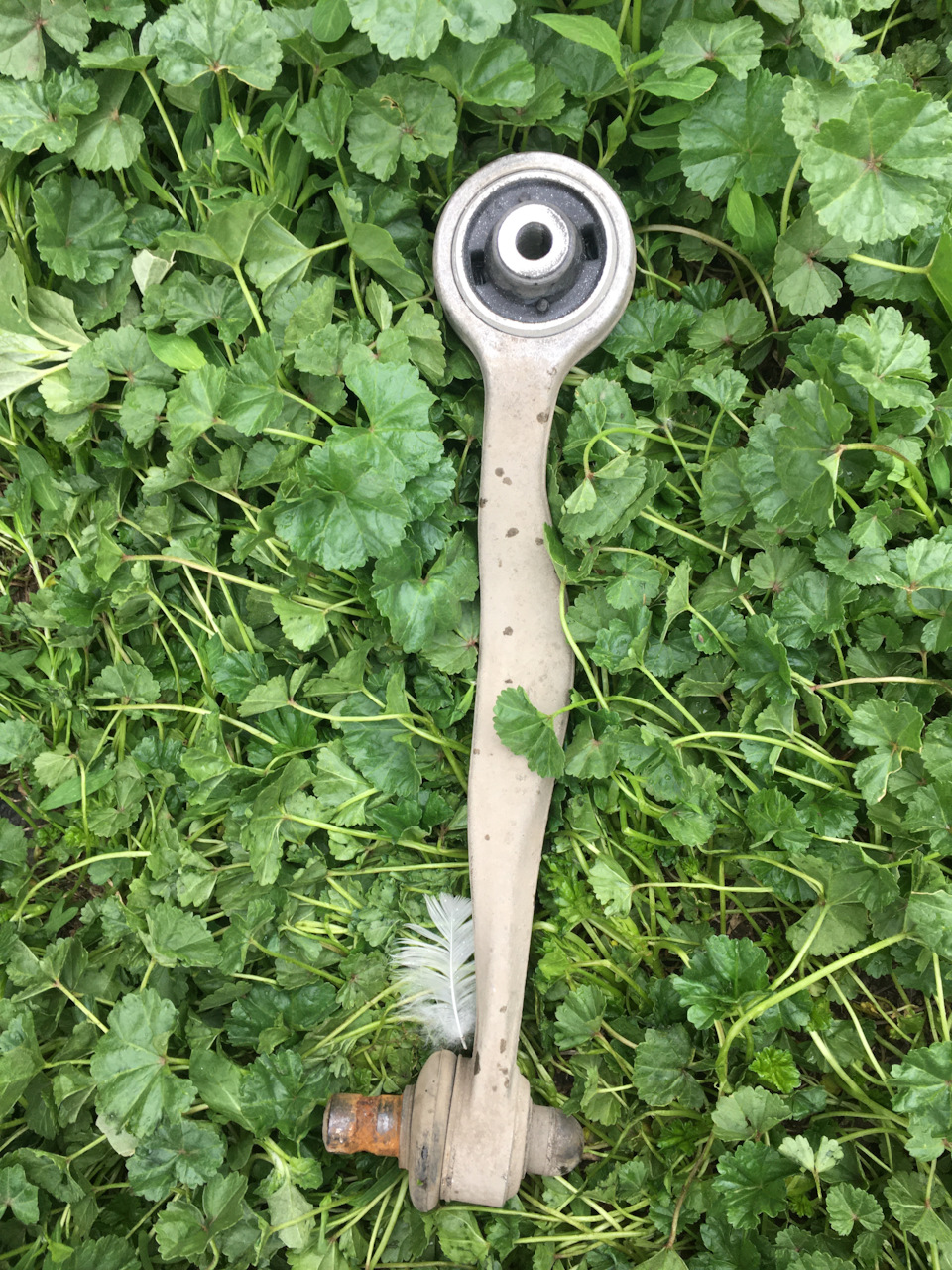 Скрип передней подвески — Volkswagen Passat Variant (B5), 1,8 л., 2004 ...