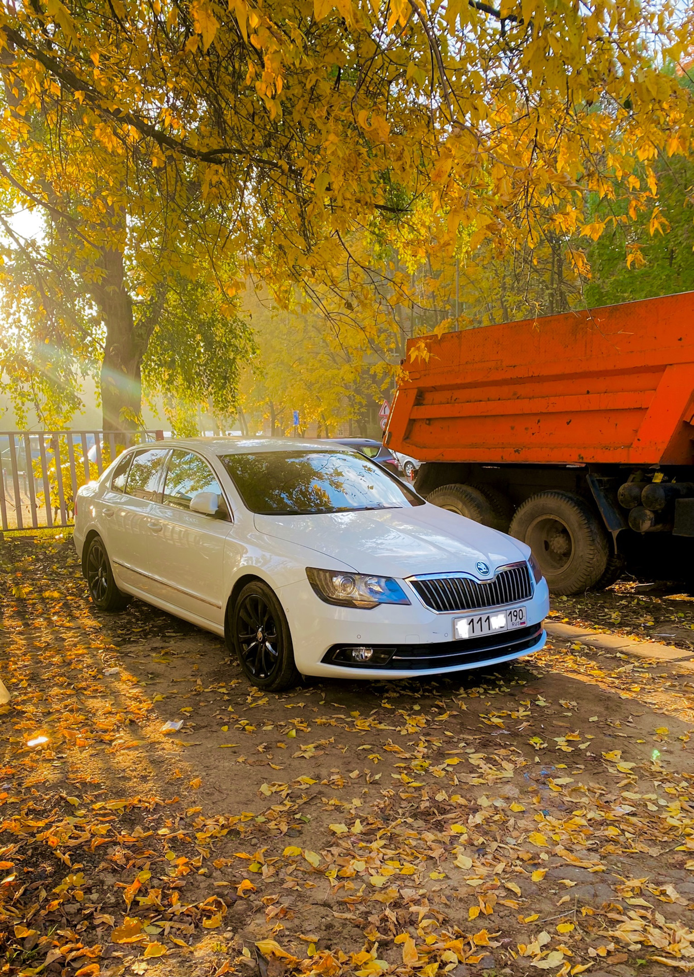 Стоит ли удалить катализатор ?чип коробки и двигателя 🤔 — Skoda Superb  Mk2, 2 л, 2014 года | тюнинг | DRIVE2