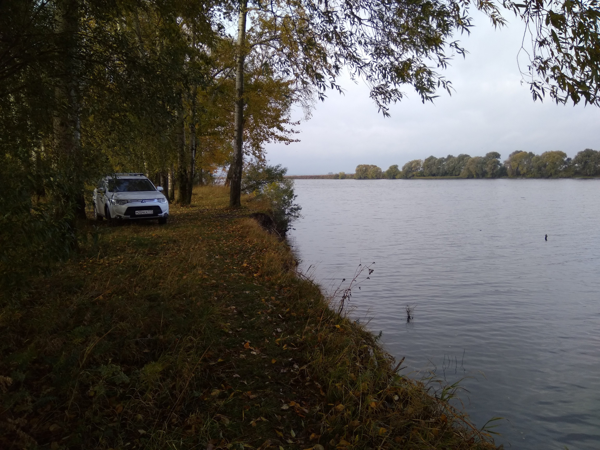 Деревня Щербатовка Касимовский Район Рязанская Область Фото