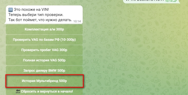 Отправка VIN в боте для проверки Renault