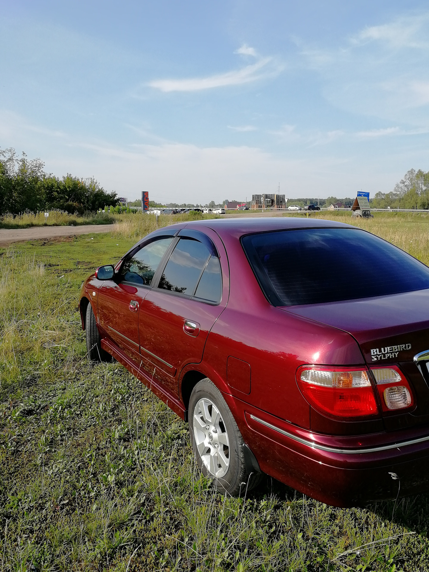 Ниссан блюберд силфи 2000 год. Nissan Bluebird Sylphy. Nissan Bluebird Sylphy g10. Ниссан Блюберд Силфи 2001 бордовый. Nissan Bluebird Sylphy g10 красный.