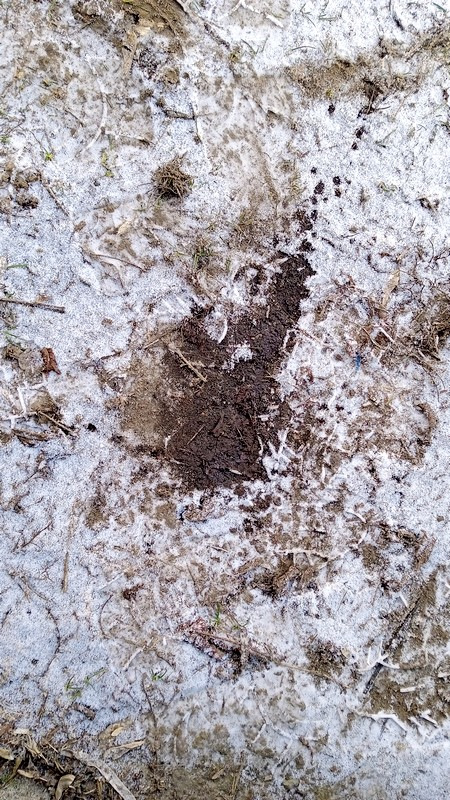 Солярка пошла в поддон — Ford Galaxy (Mk I), 1,9 л, 1999 года | своими ...