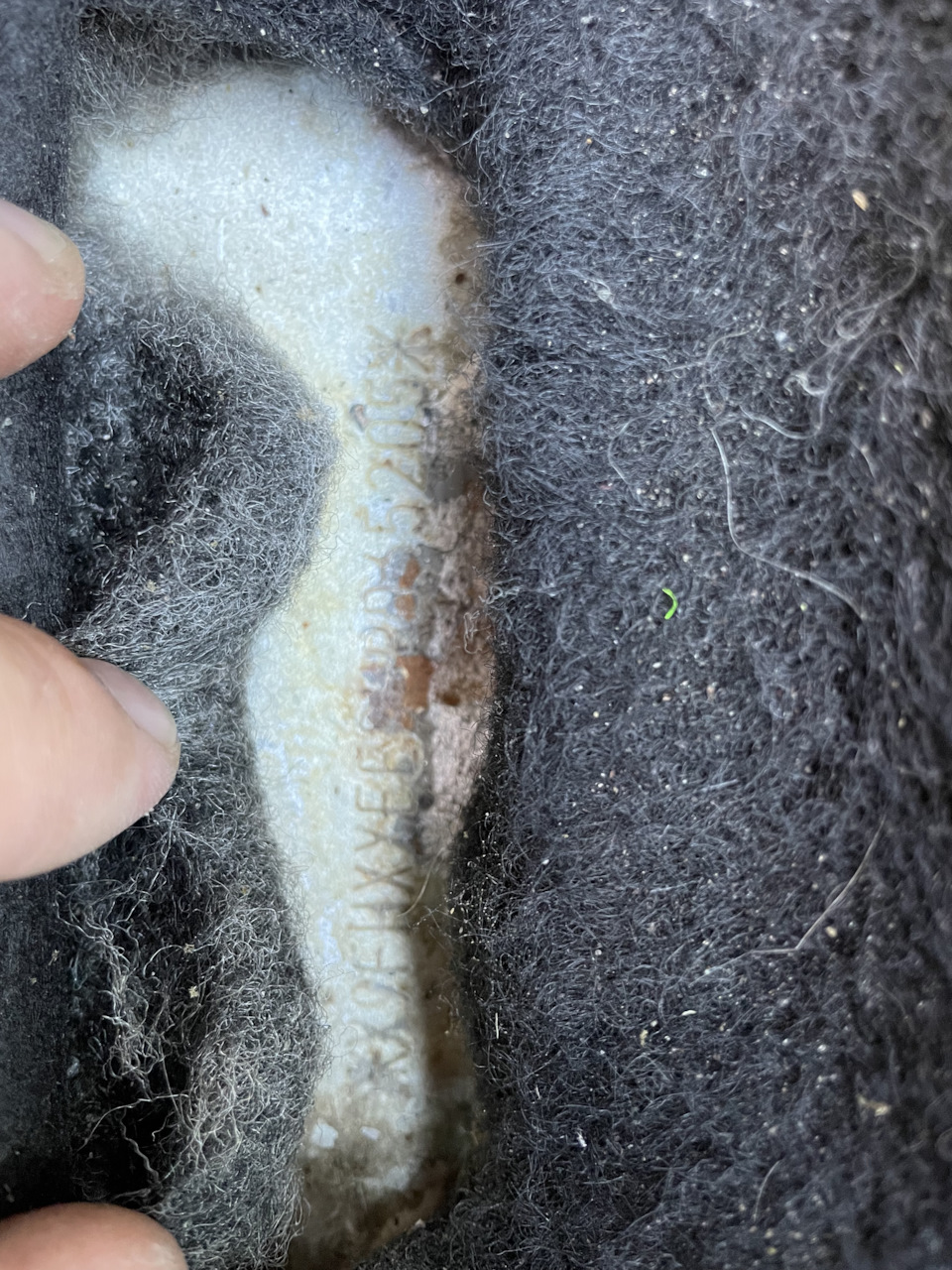 Очистка Vin номера — Ford Focus II Sedan, 1,6 л., 2011 года | своими ...