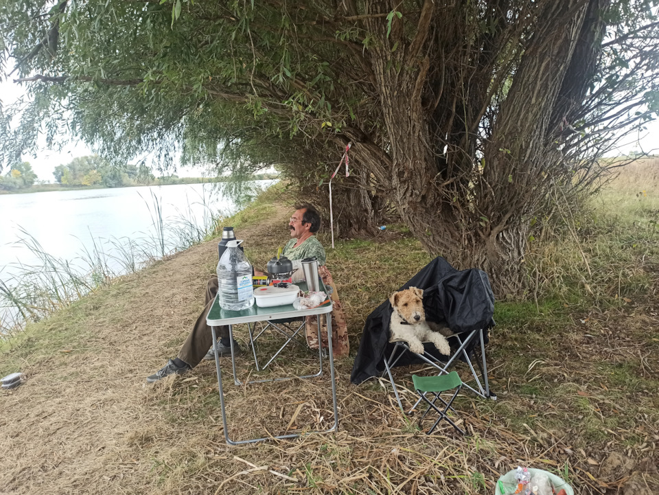 Фото в бортжурнале Mitsubishi Pajero (4G)