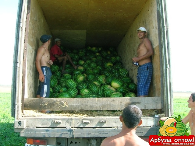 Грузовик с арбузами рисунок