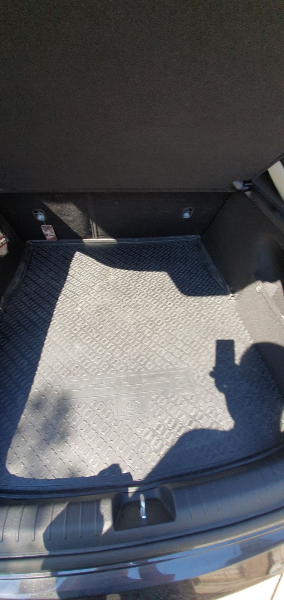 Фото в бортжурнале KIA Stinger