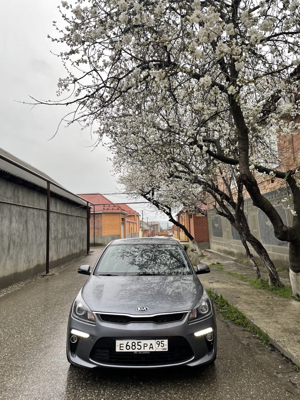 перекрасить диски или нет — KIA Rio (4G), 1,6 л, 2019 года | стайлинг ...