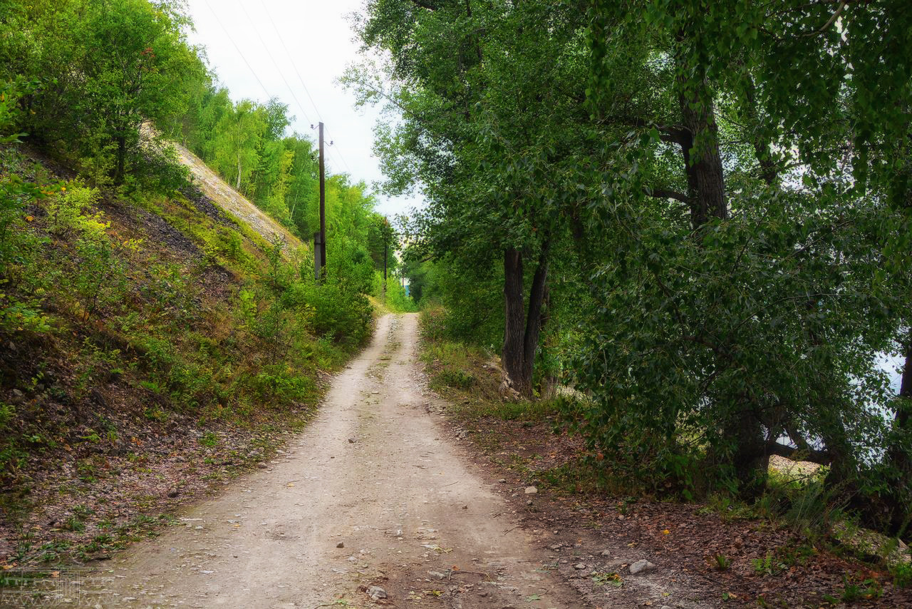 Дорога вдоль волги