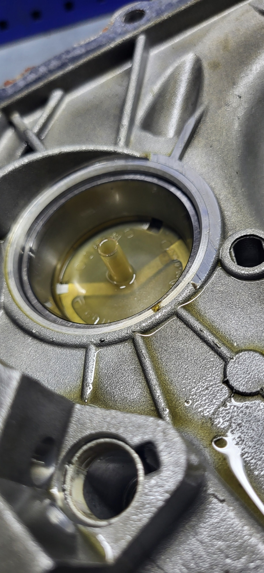 Поверхность внутренней обоймы в матовом состоянии — Lada Ларгус