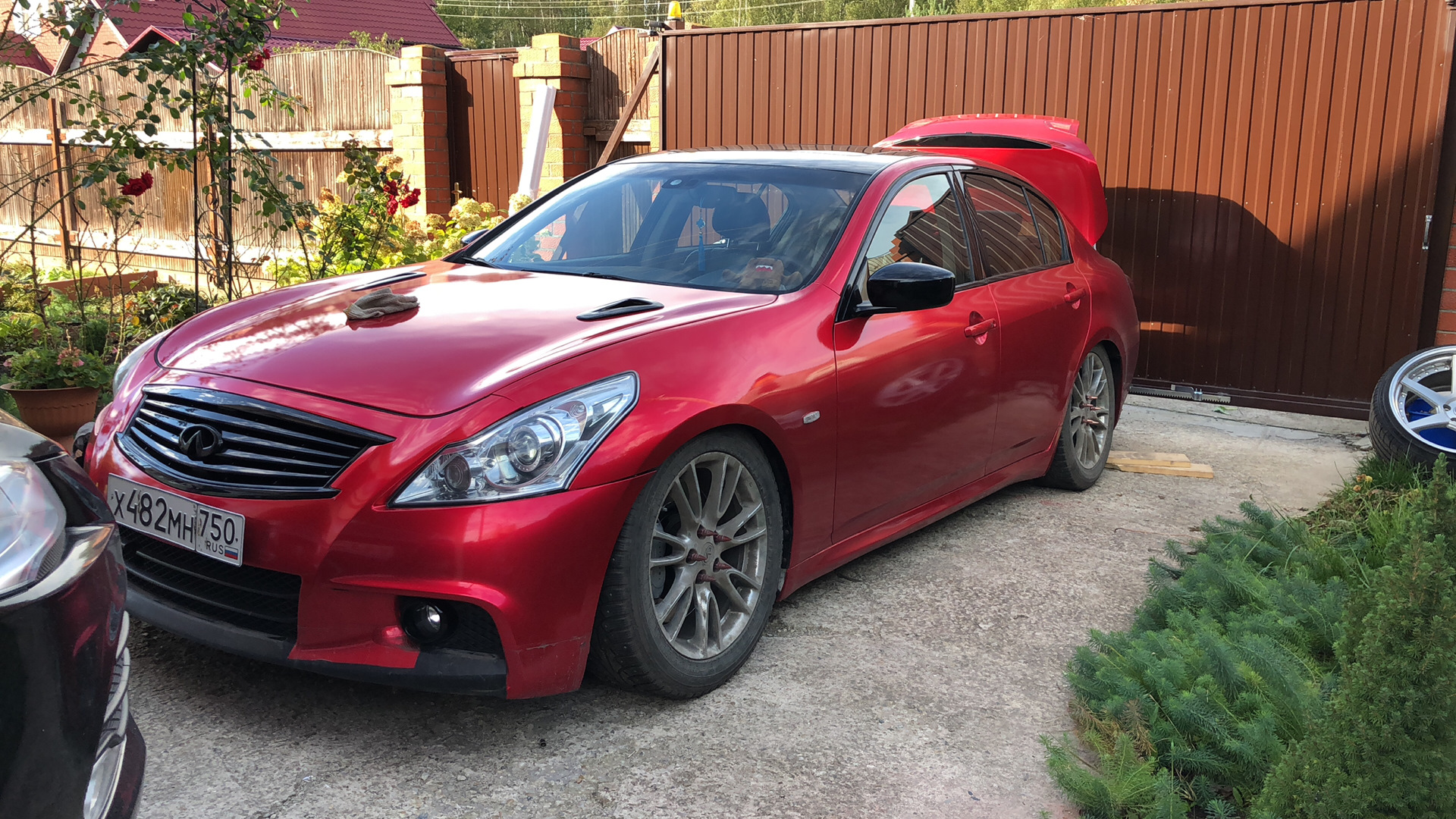 Гн 37. Инфинити g37s красная. Infiniti g37 sedan Red. Infiniti g35 красный. Инфинити g25 красная.