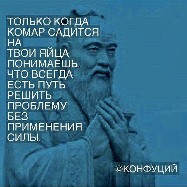 Сели на твое место. Мемы с кошками. Конфуций цитаты и шутки. Смешные фразы учеников. Сели на твое место.