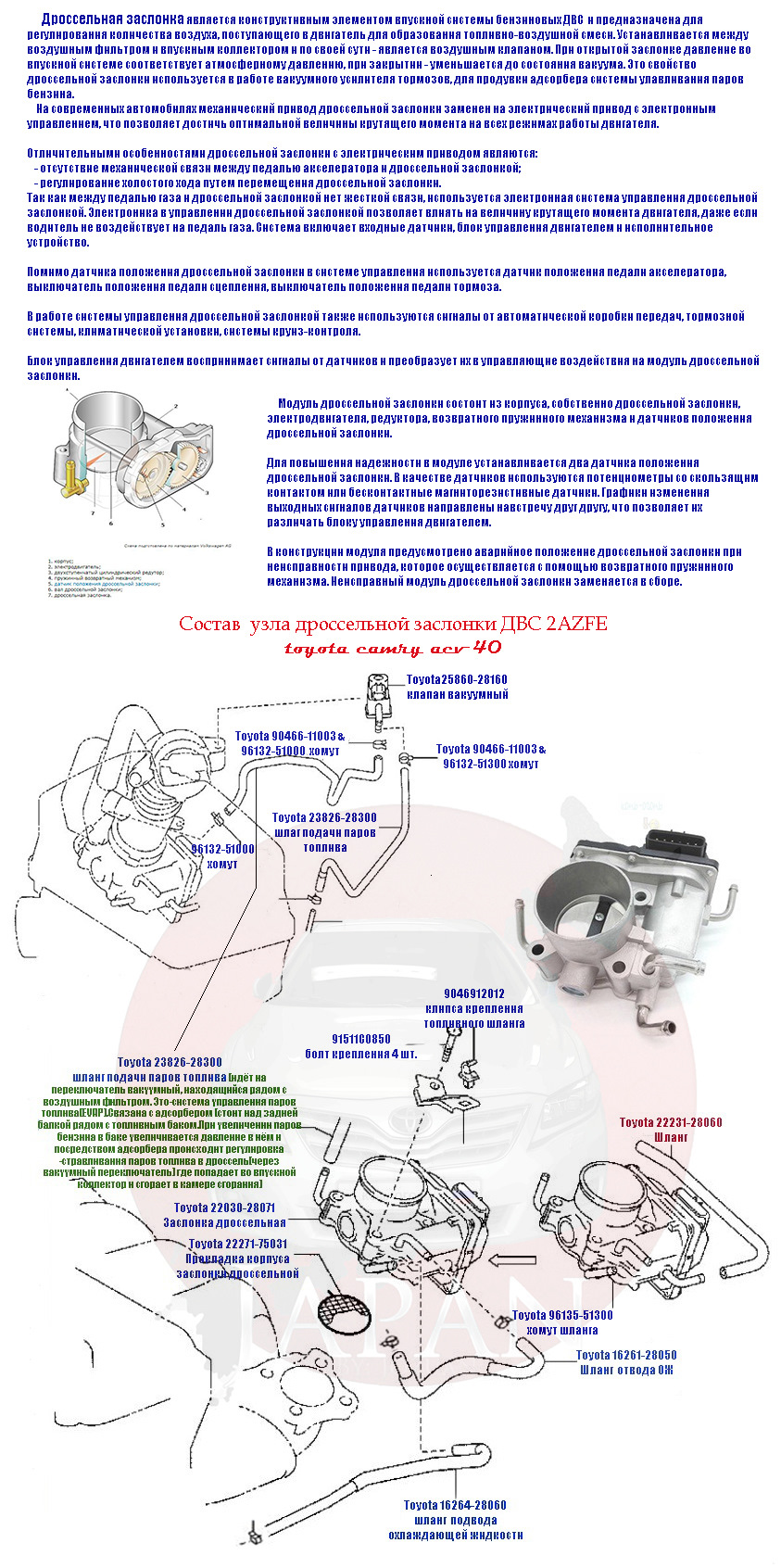 💾Обслуживание дроссельной заслонки 2AZ-FE, порядок разборки, артикулы  составных частей. — Toyota Camry (XV40), 2,4 л, 2010 года | своими руками |  DRIVE2