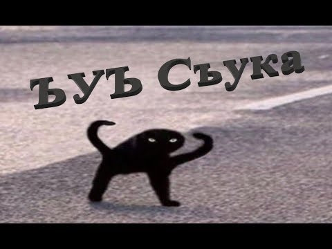 Ъуъ мем с котом