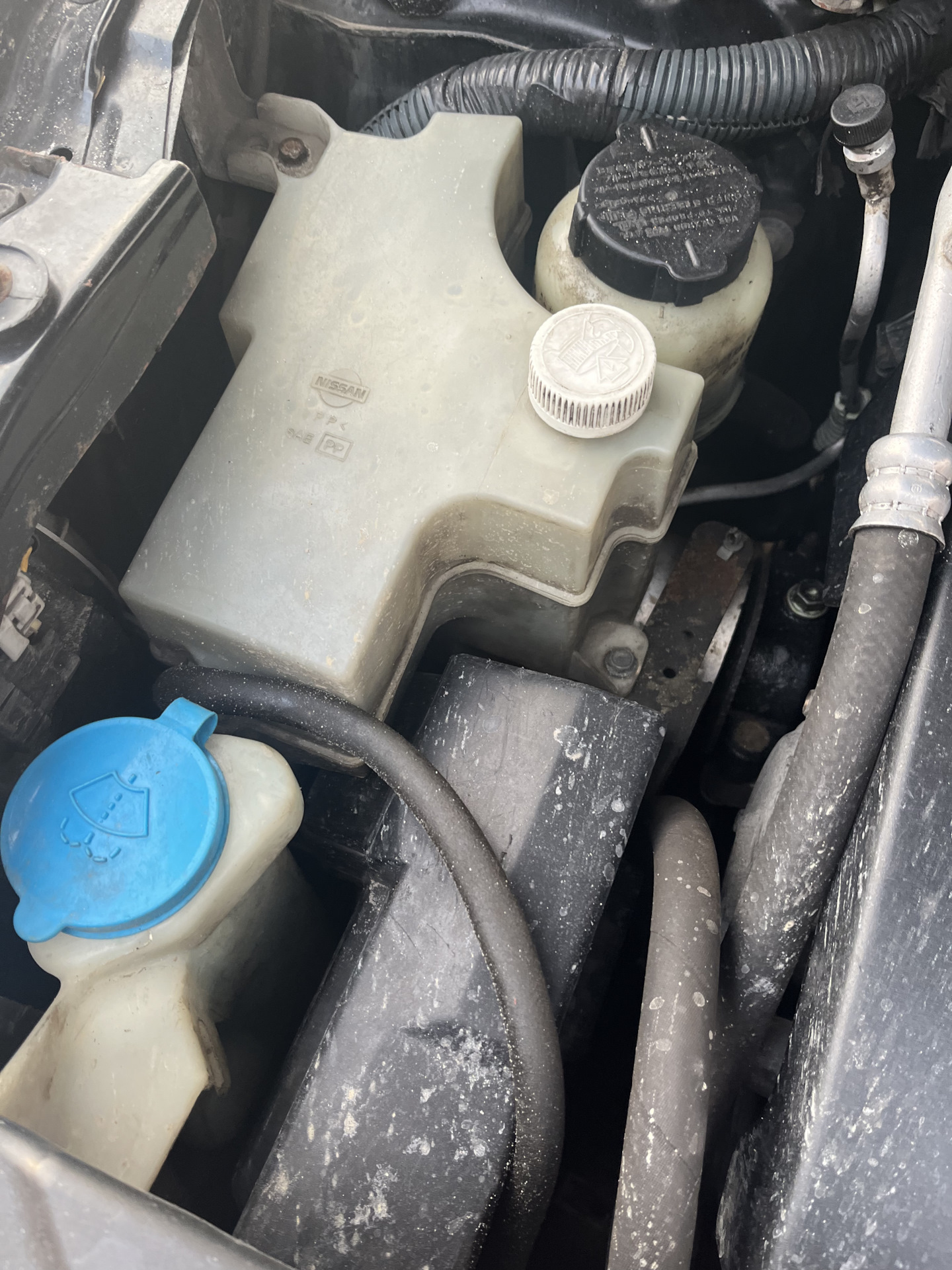 Крышка бочка антифриза — Nissan Murano I, 3,5 л, 2004 года | другое ...