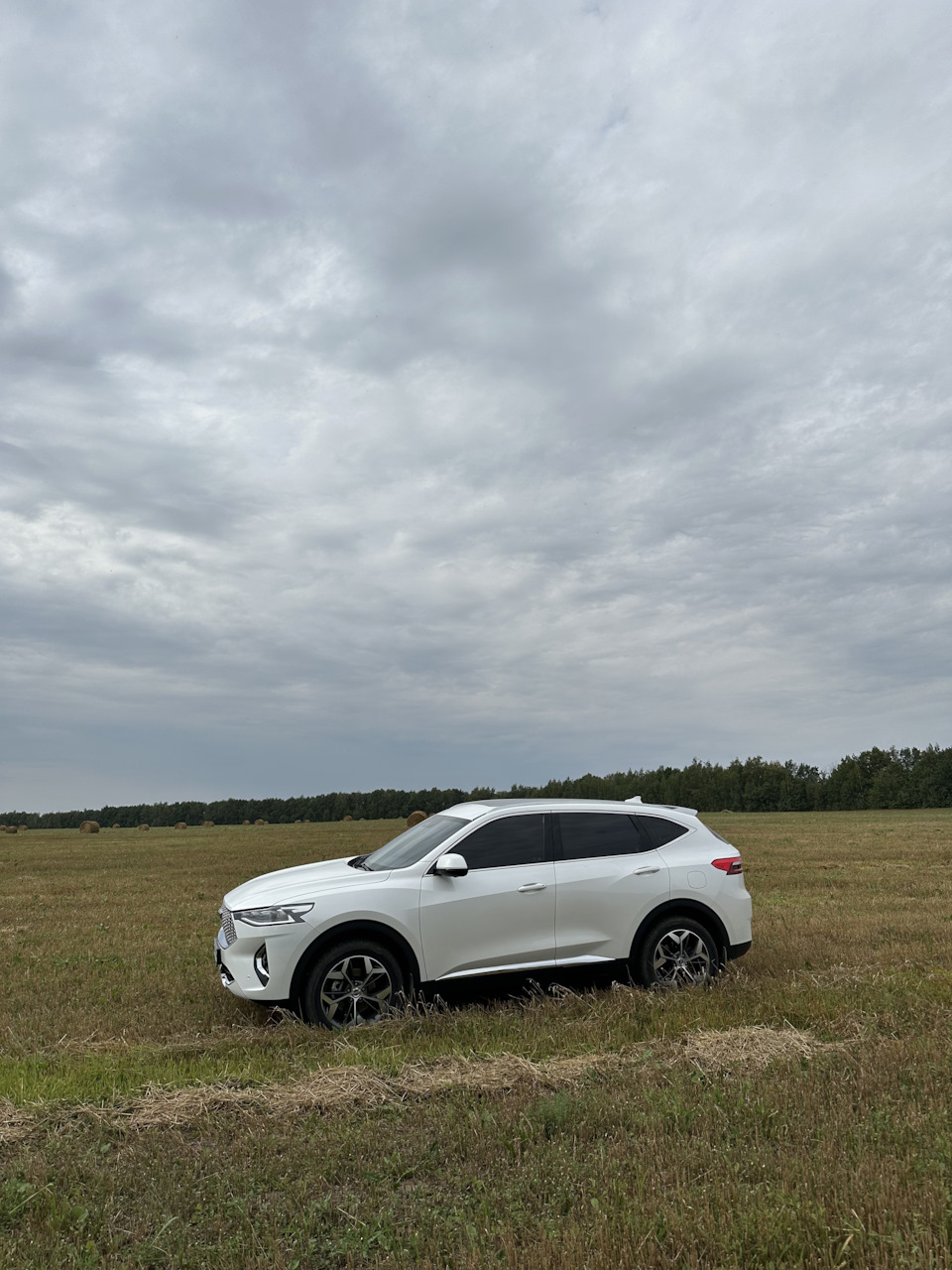 2 года с момента покупки и небольшой рассказ про поездки на Haval F7 —  Haval F7, 2 л, 2021 года | путешествие | DRIVE2