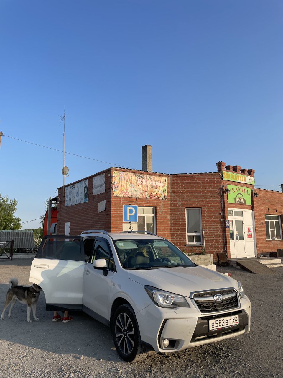 Новосибирск-Москва-Севастополь — Subaru Forester (SJ), 2 л, 2017 года |  путешествие | DRIVE2