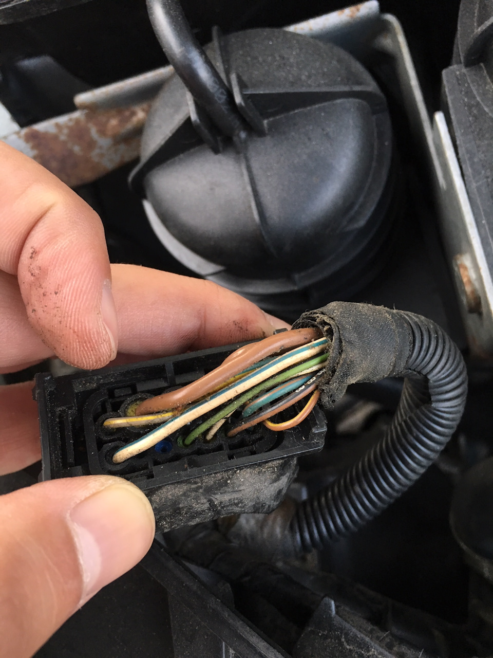 Защита покрытия кузова bmw что это. Смотреть фото Защита покрытия кузова bmw что это. Смотреть картинку Защита покрытия кузова bmw что это. Картинка про Защита покрытия кузова bmw что это. Фото Защита покрытия кузова bmw что это Защита покрытия кузова bmw что это. Смотреть фото Защита покрытия кузова bmw что это. Смотреть картинку Защита покрытия кузова bmw что это. Картинка про Защита покрытия кузова bmw что это. Фото Защита покрытия кузова bmw что это