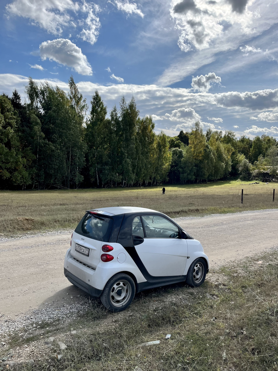 Существует без проблем — Smart fortwo (2G), 1 л, 2015 года | наблюдение |  DRIVE2