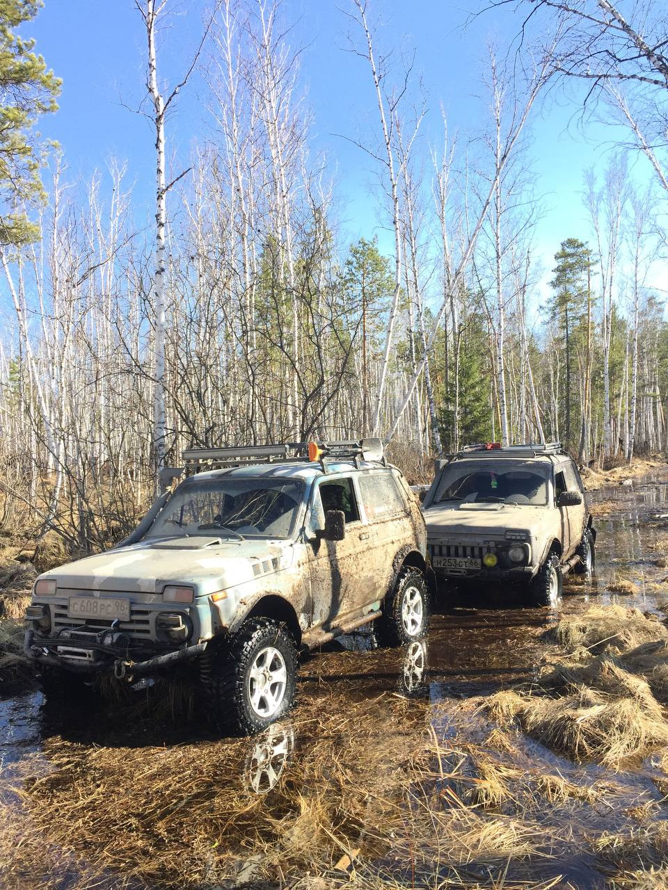 Фото в бортжурнале Lada 4x4 3D